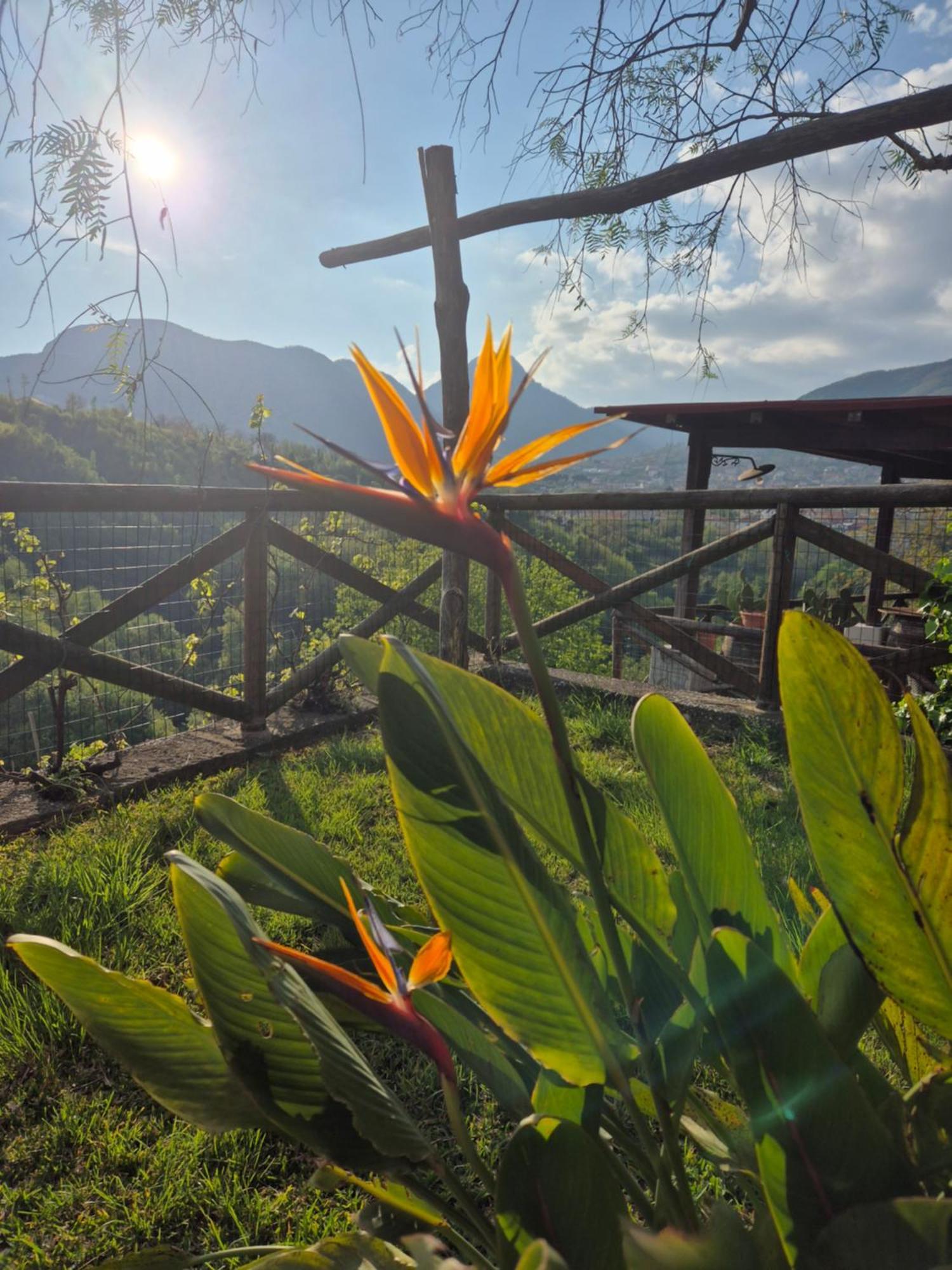 Bed & Breakfast La Cicogna *