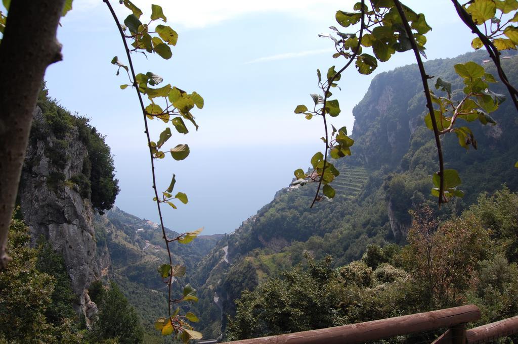 La Cicogna Bed & Breakfast *